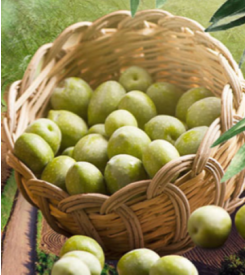 Yeşil Zeytin Organik